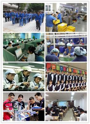 藍(lán)橋國際——專業(yè)勞務(wù)服務(wù)的背景與來歷